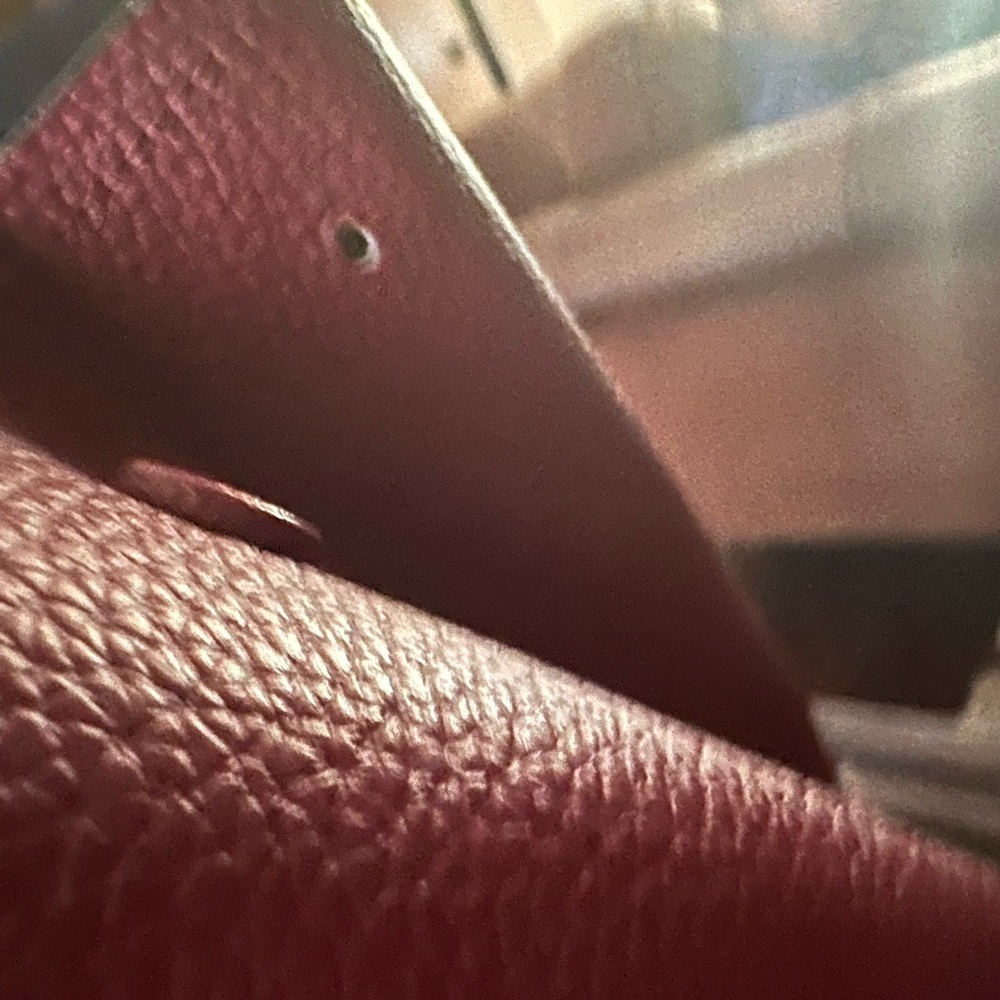 Red Prada - Picture 7 of 7